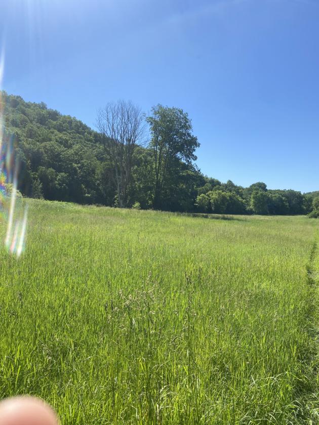 Deep River Farm - photo 26