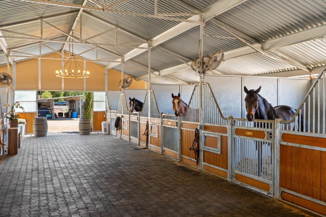 Proven Equestrian Excellence - photo 4