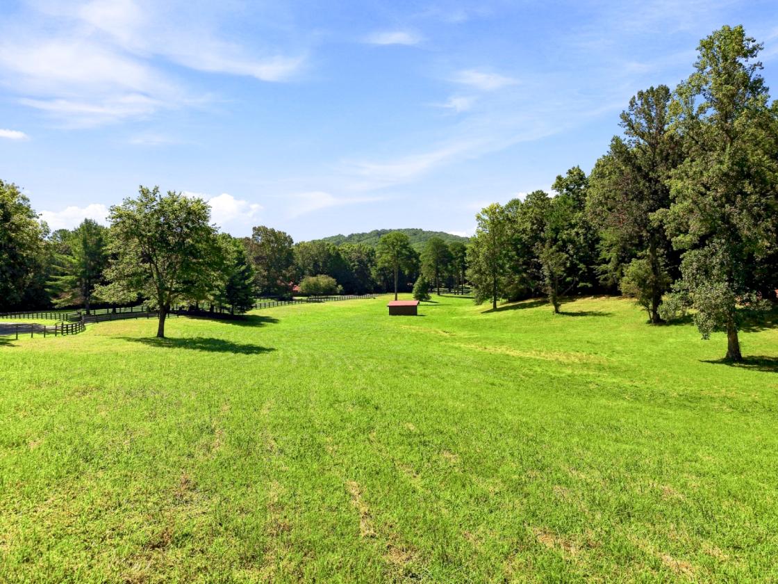 Anderson Creek Retreat - photo 19