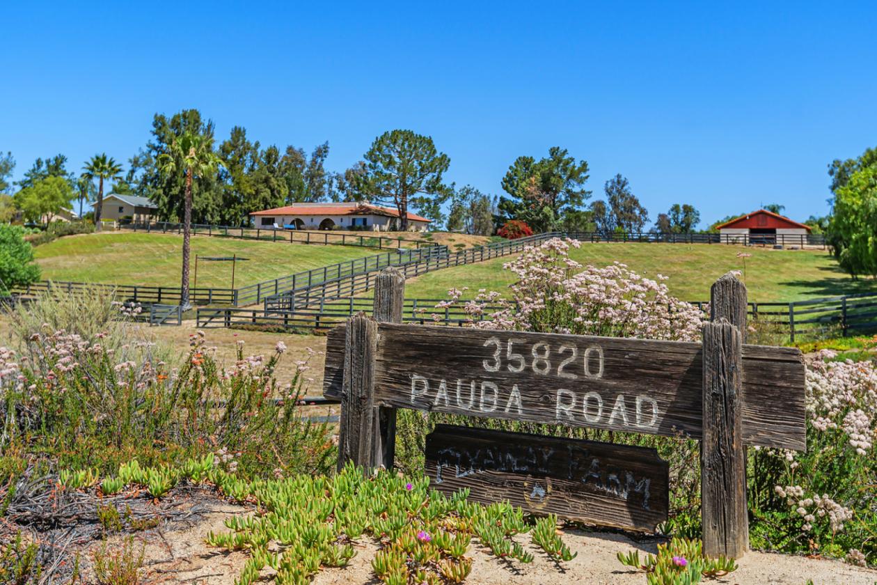 Wine Country horse property with gorgeous views - photo 14