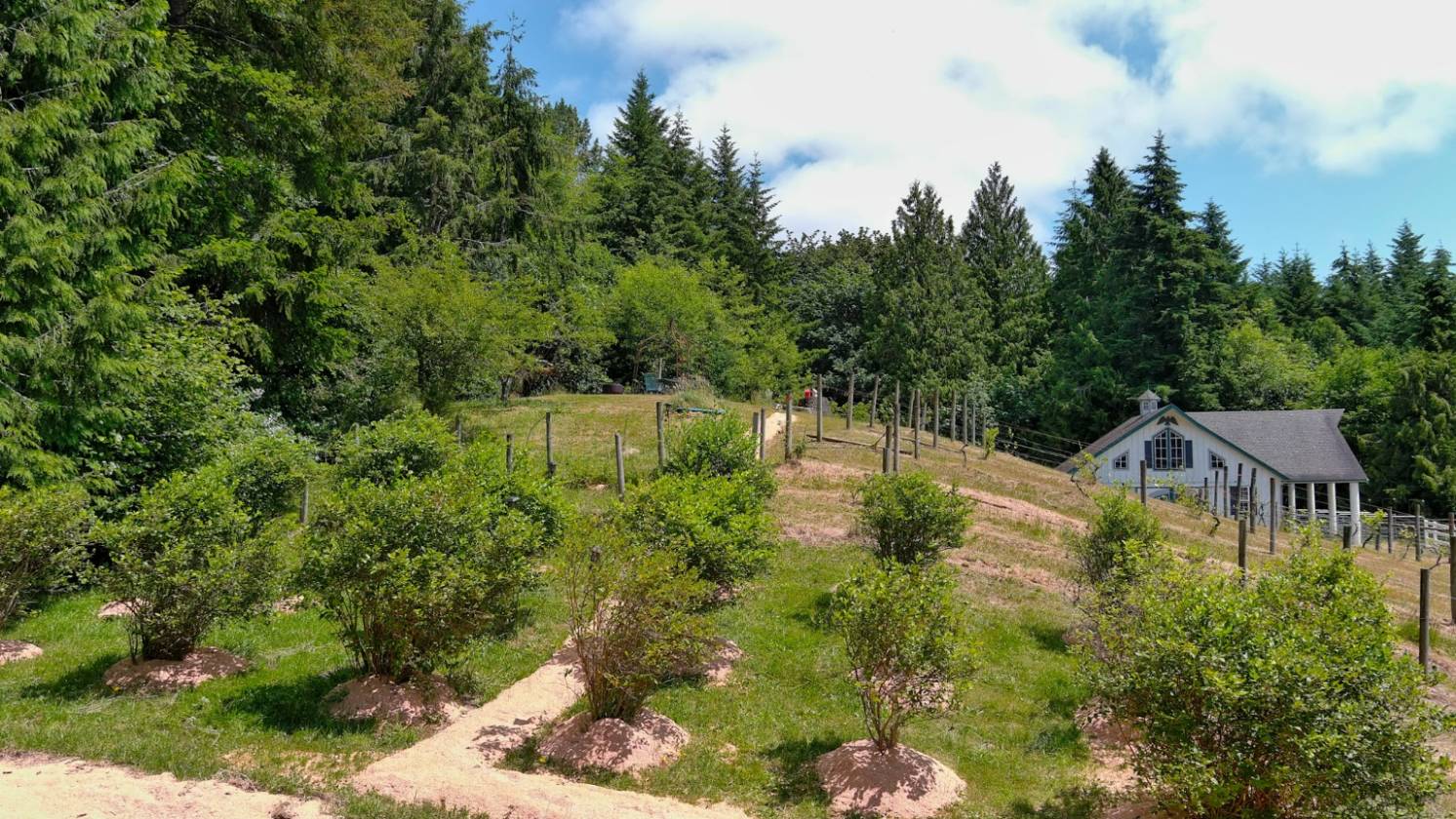 27 Acre Forest Trails Wonderland - photo 15