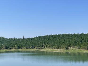 Property image.