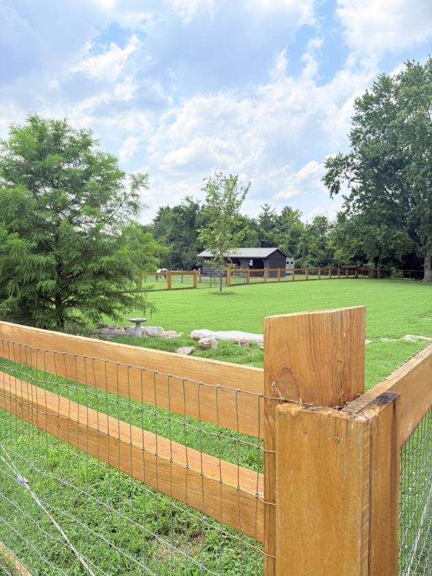 Horse Lover’s Dream on 3.71 Fenced Acres!! - photo 26
