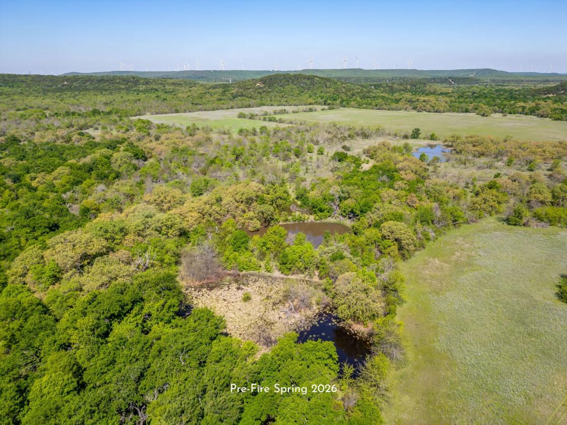 AG EXEMPT 97+ ACRES WITH PASTURE LAND & 4 TANKS - photo 11