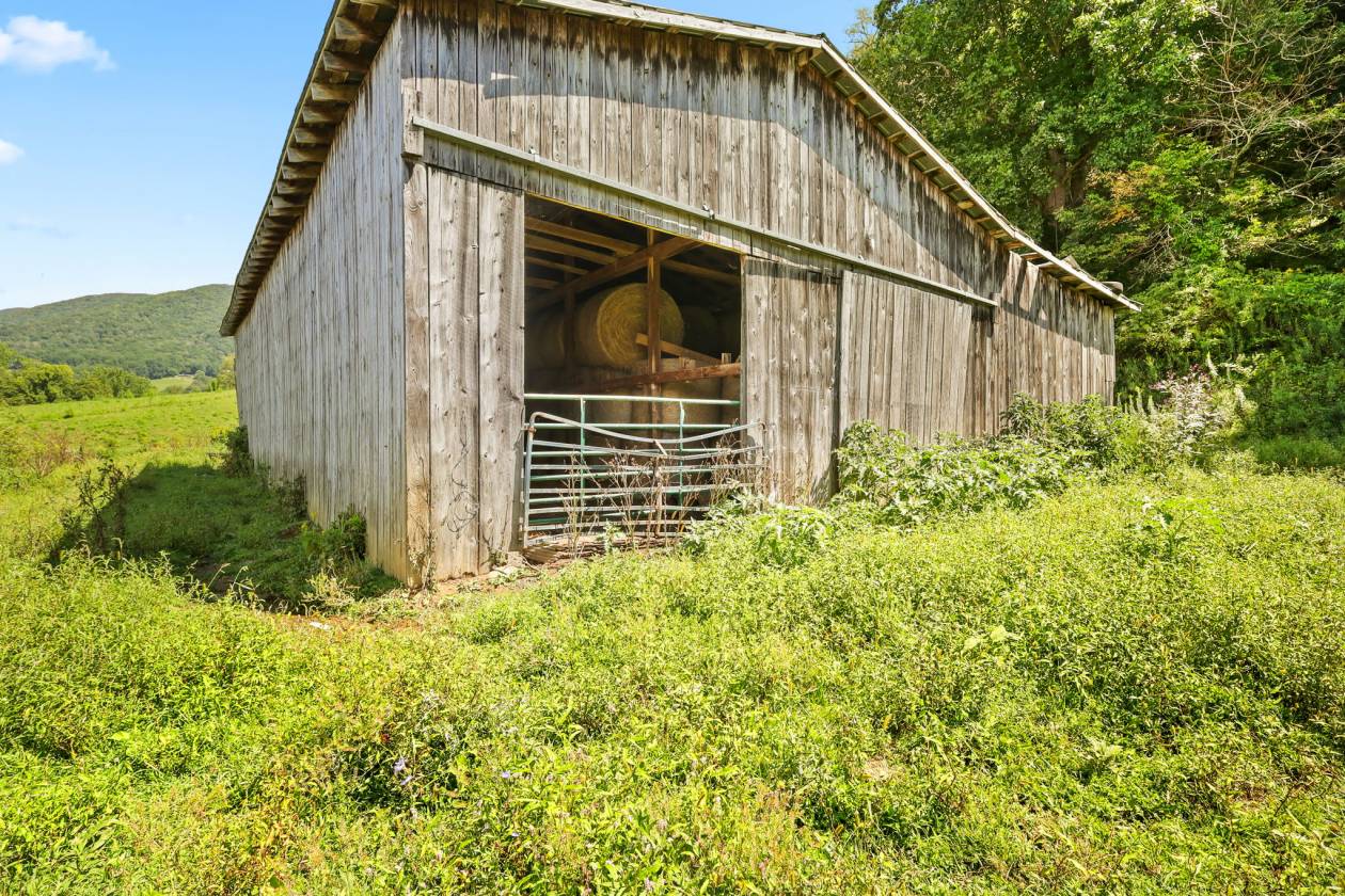 Apple Tree Farm - A Rare Offering on 246+ Acres - photo 23