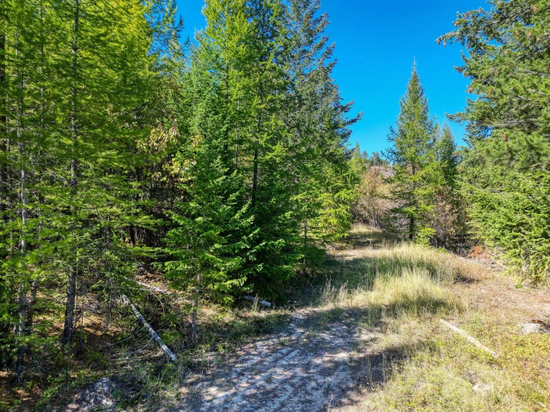 350 Acres & Private Access to MT Forest Service - photo 19
