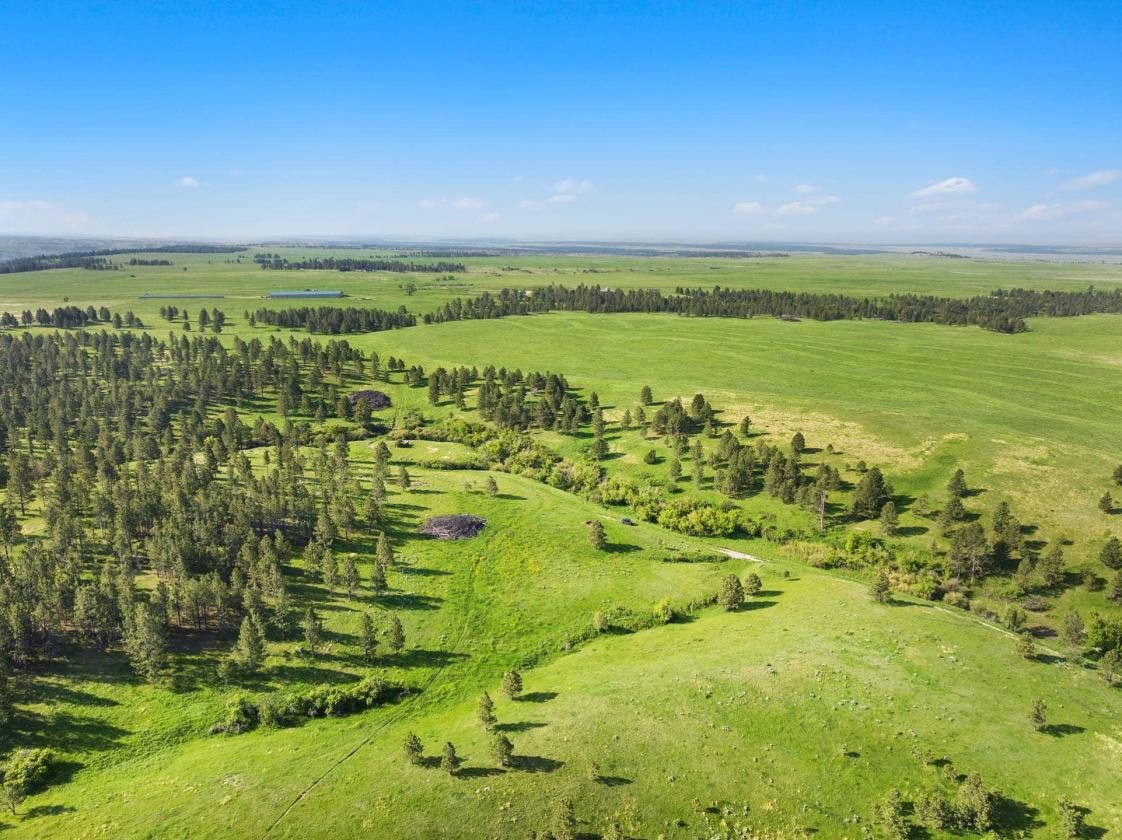 Piney Ridge Ranch - photo 15