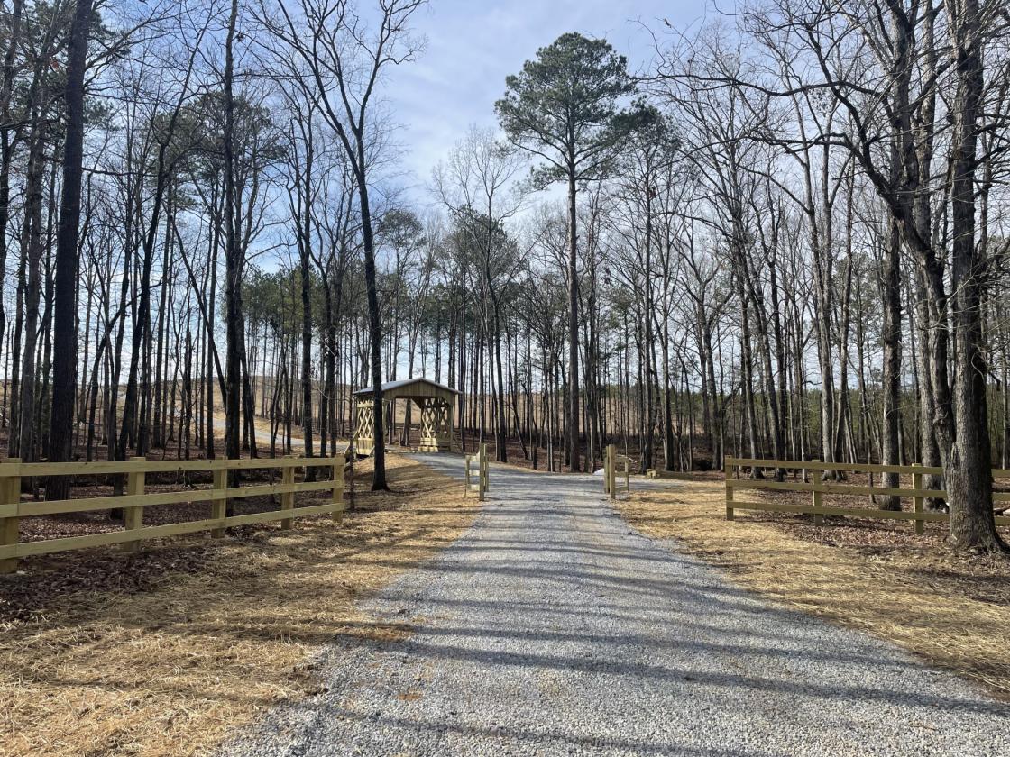 160 Acres in Shelby County w/ pastures and lake - photo 26