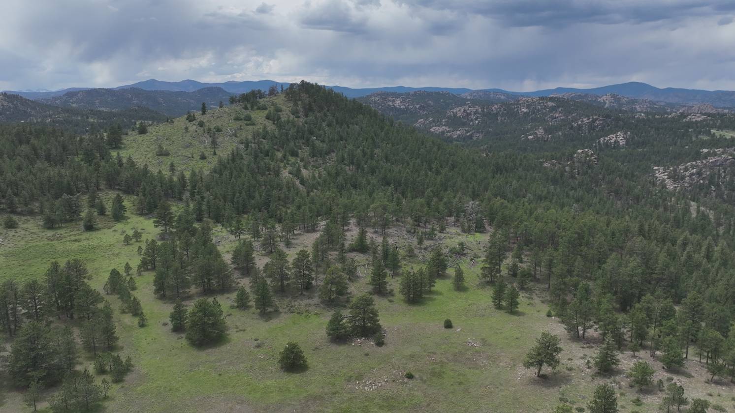 Lots in luxury, gated, mountain community - photo 19