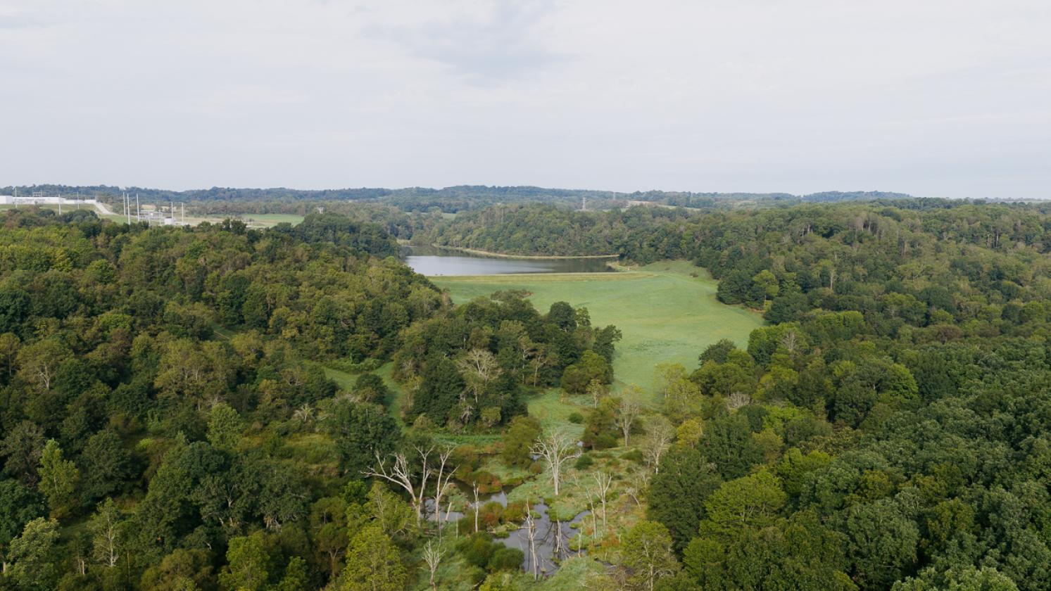 414 Acres, No Zoning, 24-Acre Lake, Hunting Cabin - photo 26