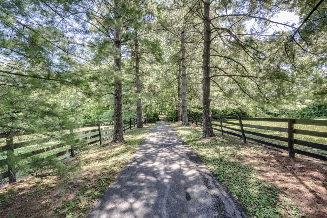 Horse property in Oldham County - photo 2