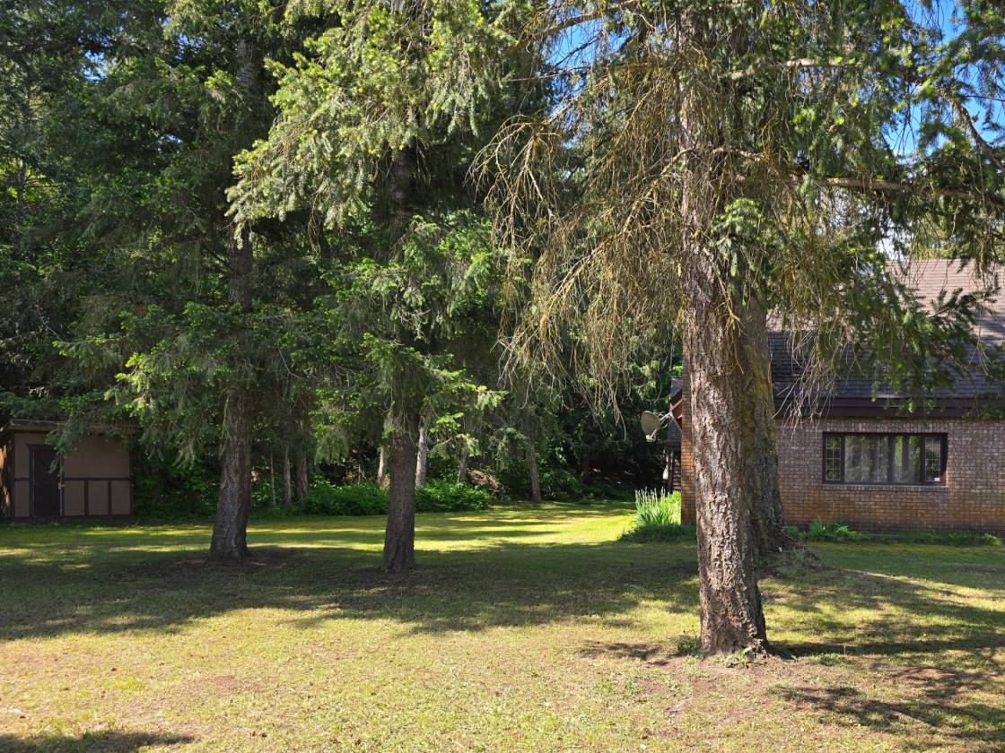 Equestrian Dream Estate - photo 3