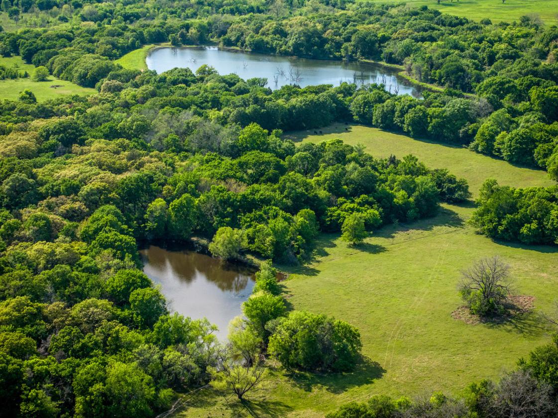 Brittany Hollow Ranch - photo 1