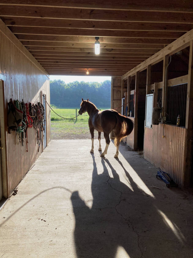 10 acre horse farm north of Indianapolis Sheridan, Boone County