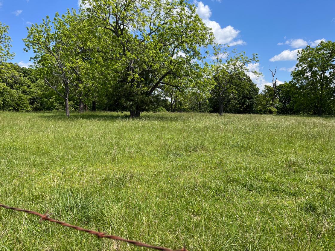 Southern Missouri Horse Property - photo 19