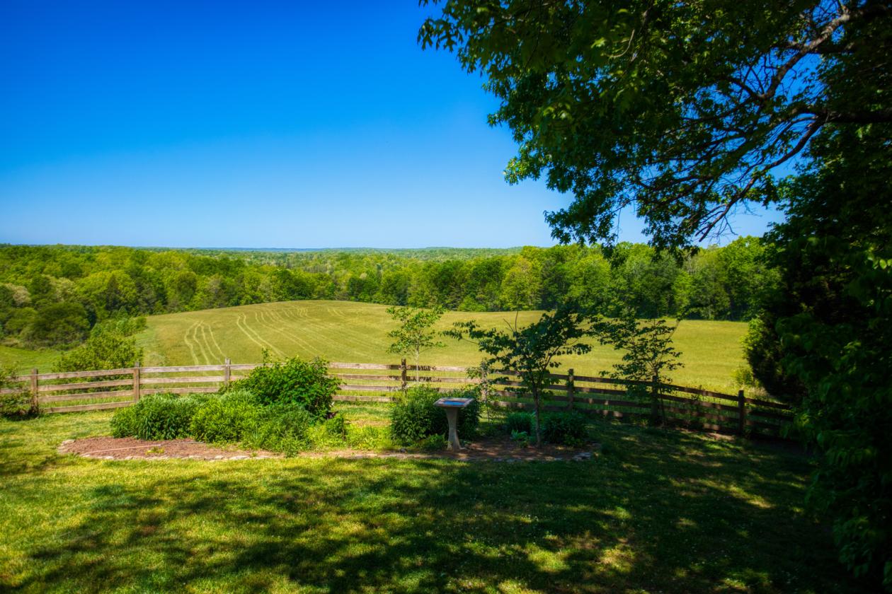 The ultimate Equestrian ESTATE - photo 27