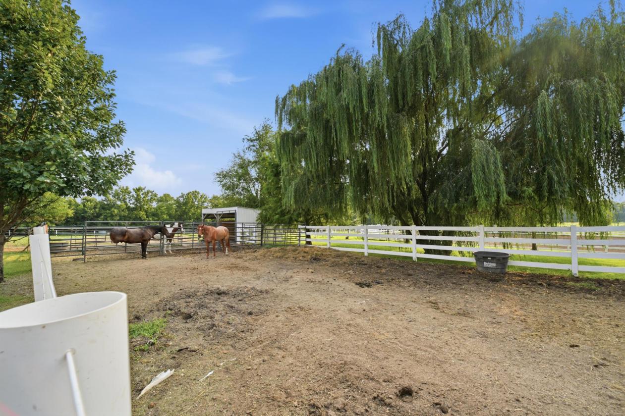 Premier Equestrian Estate on Nearly 20 Acres - photo 8
