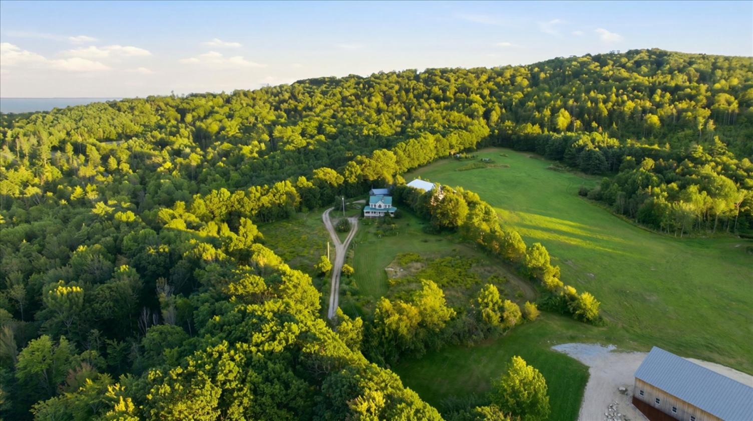 Maine Horse Farm - photo 1