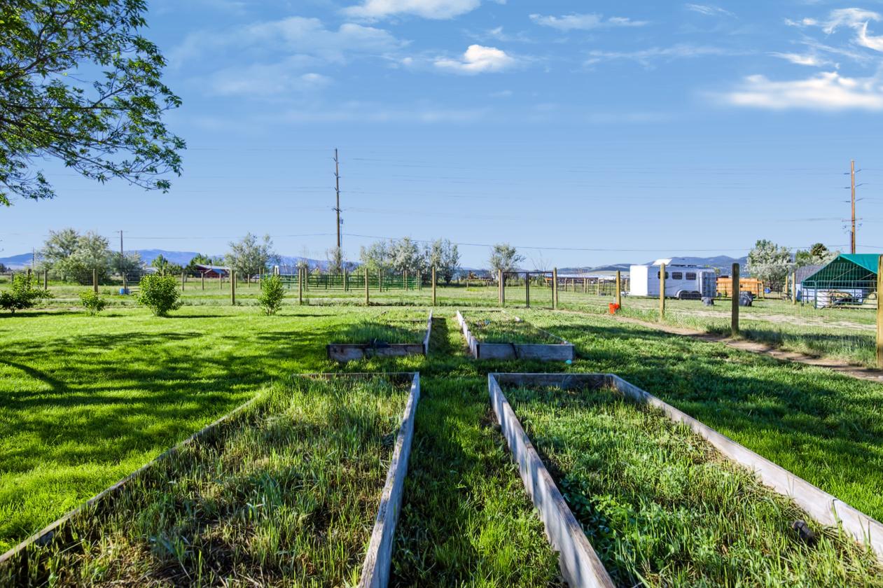 Charming Horse Property on 4.1 Acres - photo 6