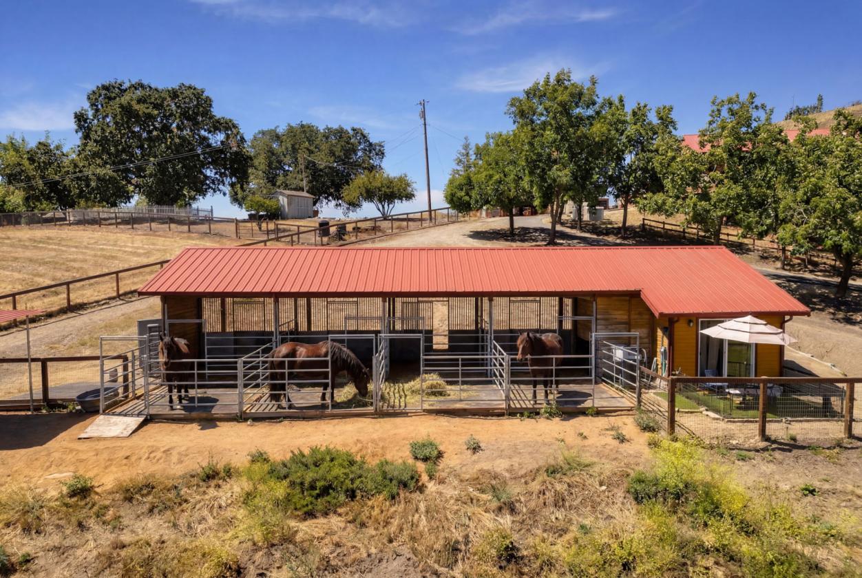 Camino Tassajara Ranch Estate - photo 26