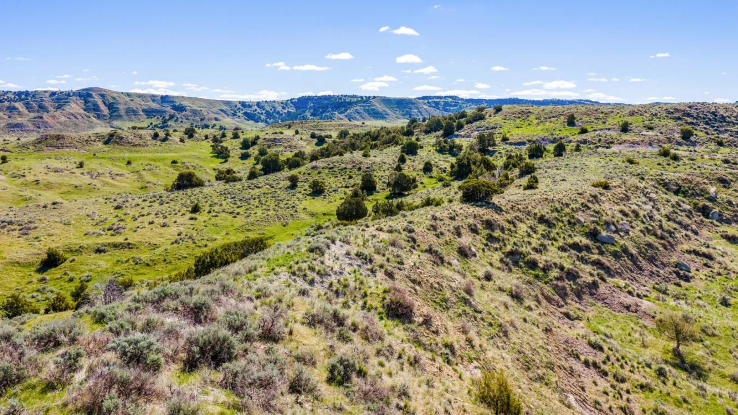 Premier Horse Property With Trophy Mule Deer - photo 27