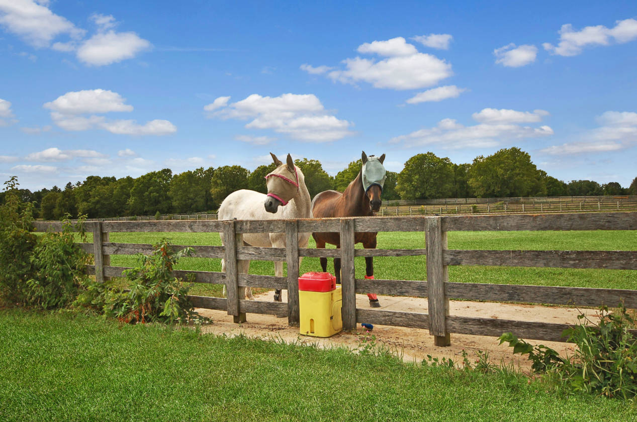Snodell Farm104+ acre Horse Farm in Campton Hills, IL Campton Hills