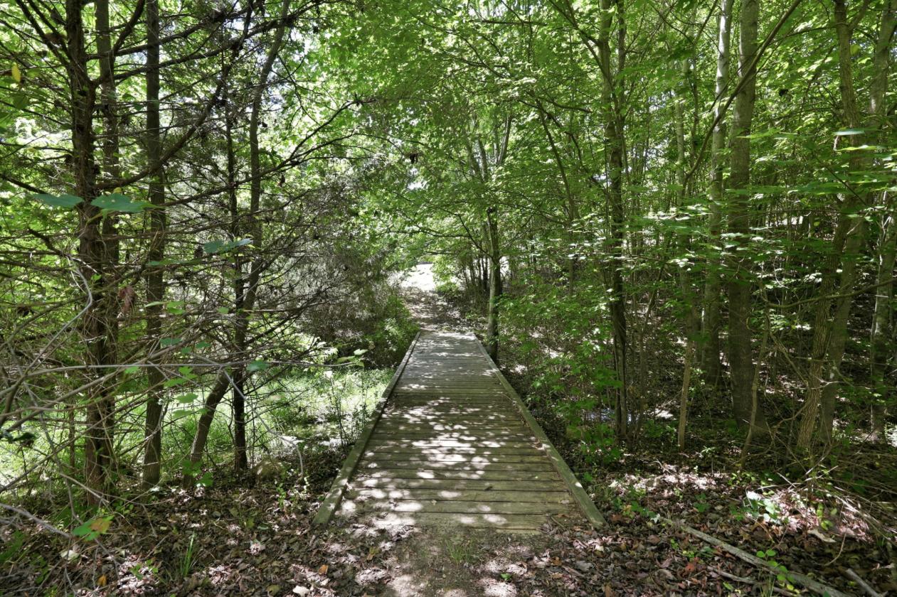 40+ acre Farm in Randolph County - photo 29