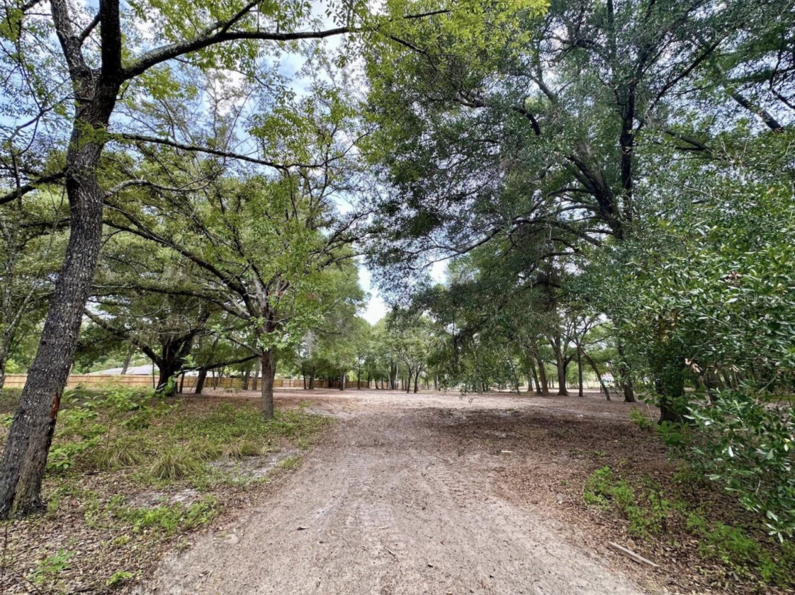 14.5 ACRES • NOW AR ZONED • HORSES/RVS • NO HOA! - photo 2