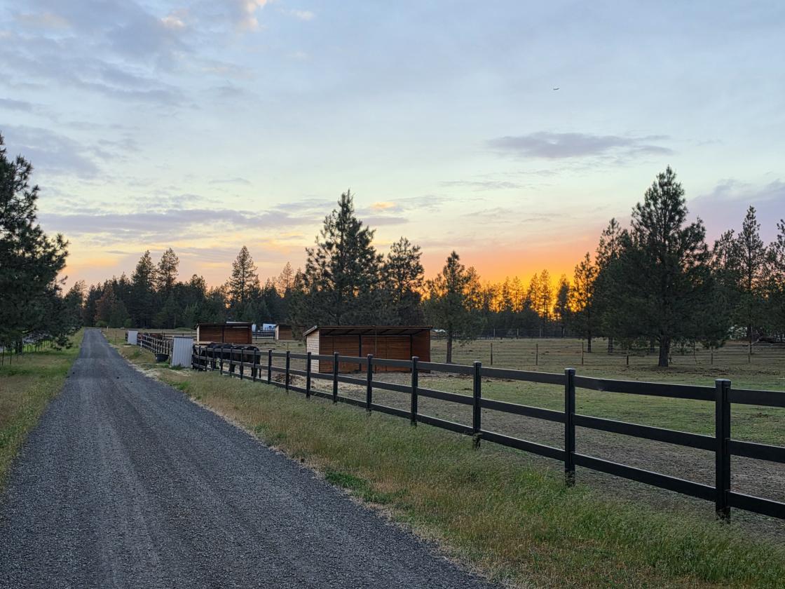 Income Producing 10 Acre Equestrian Facility - photo 3