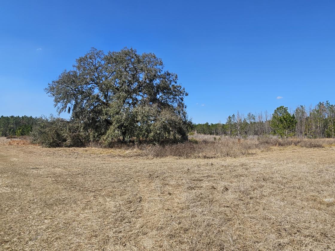 145 AC RANCH & ACCESS TO 37K+ AC STATE REC LANDS - photo 23