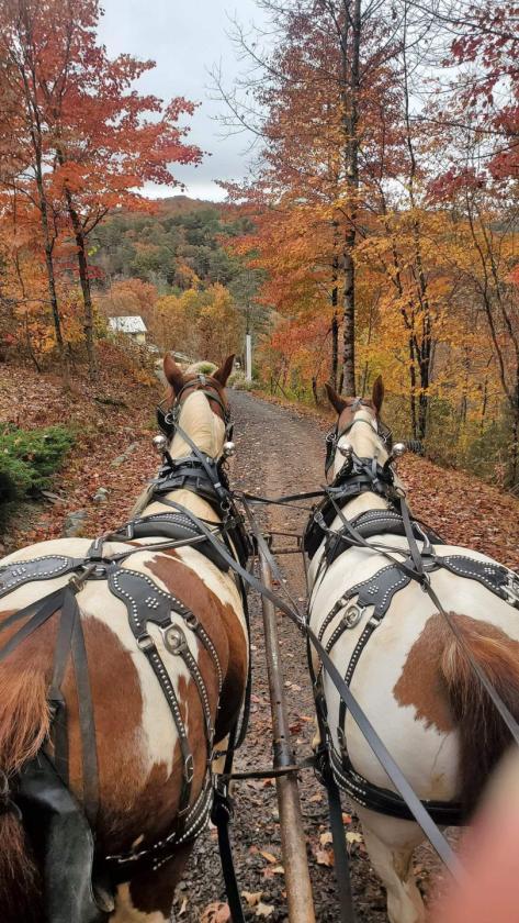 Blue Ridge Equestrian Retreat - photo 27