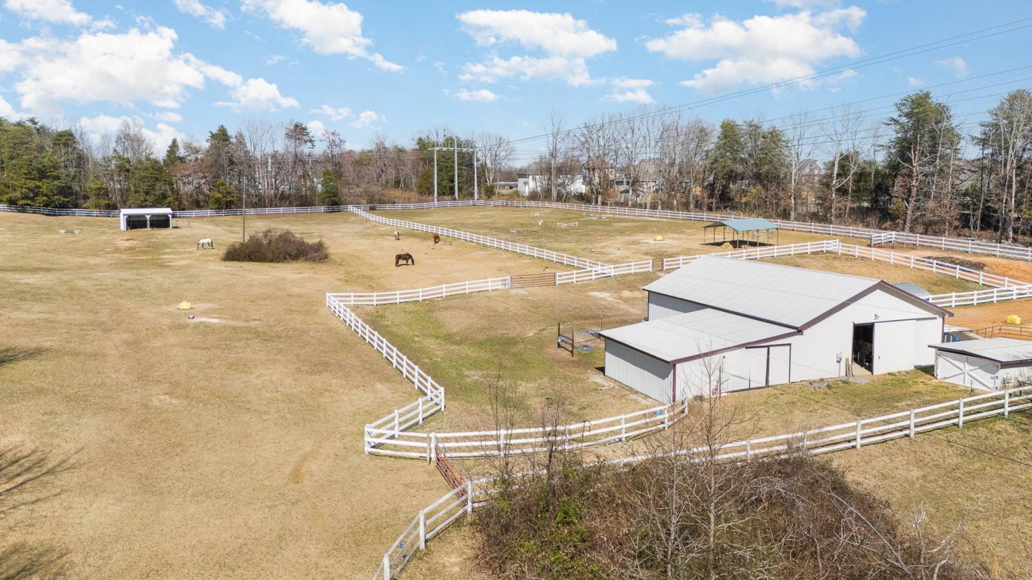 Horse Property for sale.