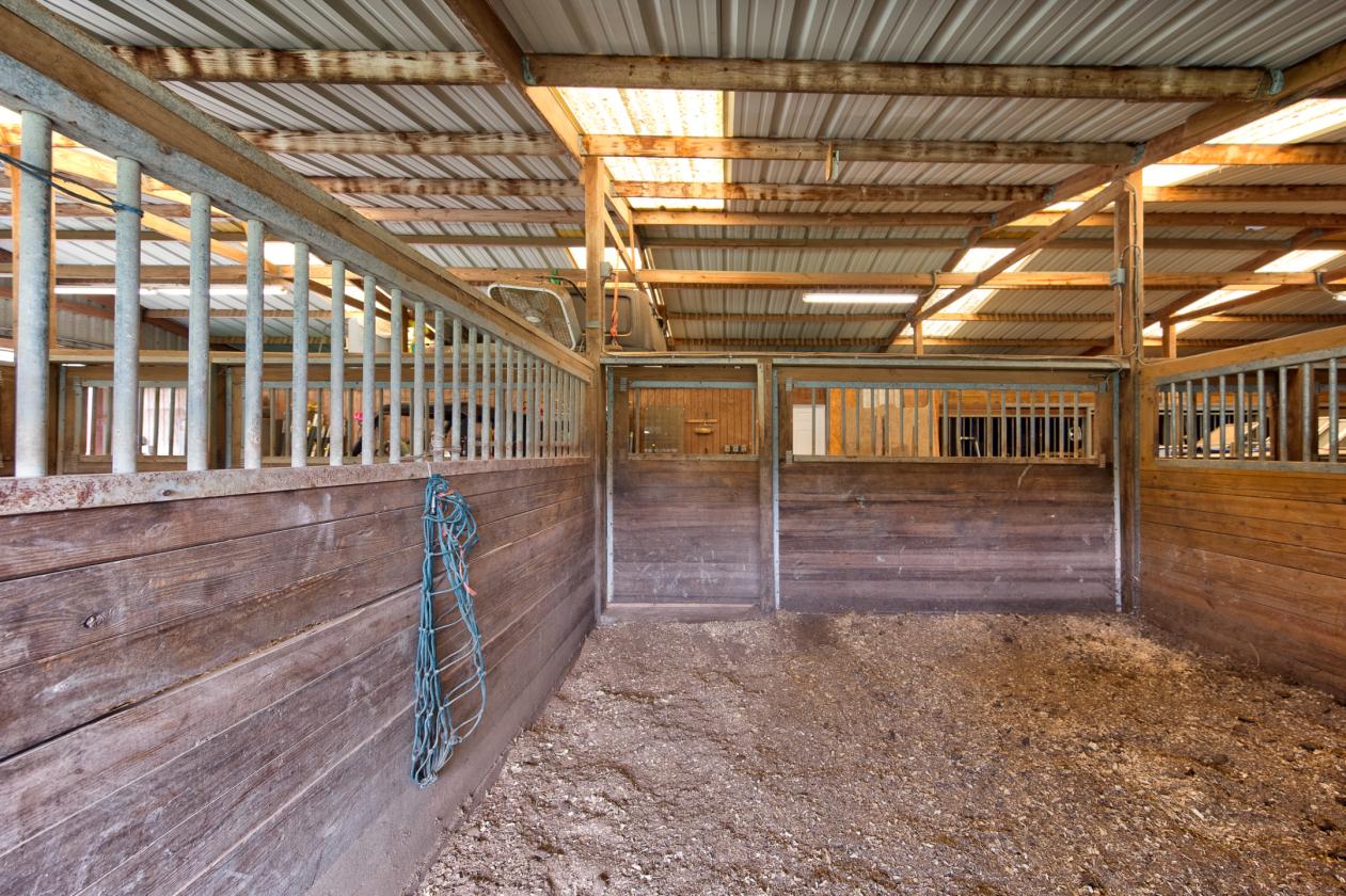 5-Acre Equestrian Estate with Barn & Pool - photo 8