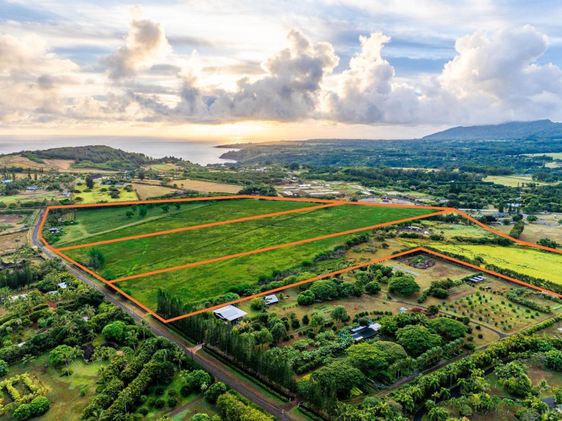 58+ Acres of Prime Land on Kauai's North Shore - photo 16