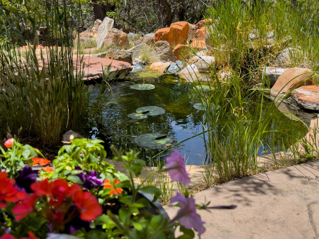 Fantastic Horse Property + Views!!! - photo 8