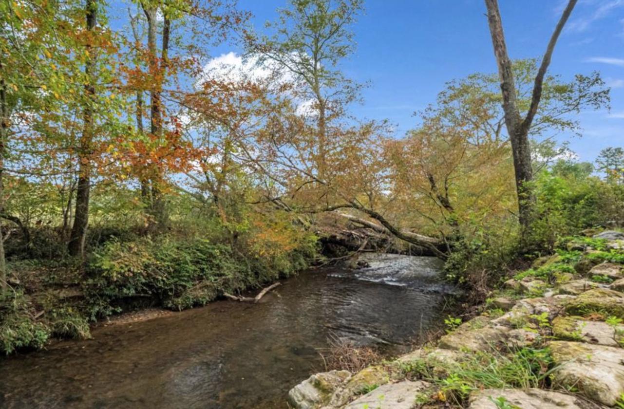 Nearly 50 Acres, Close to Asheville - photo 11