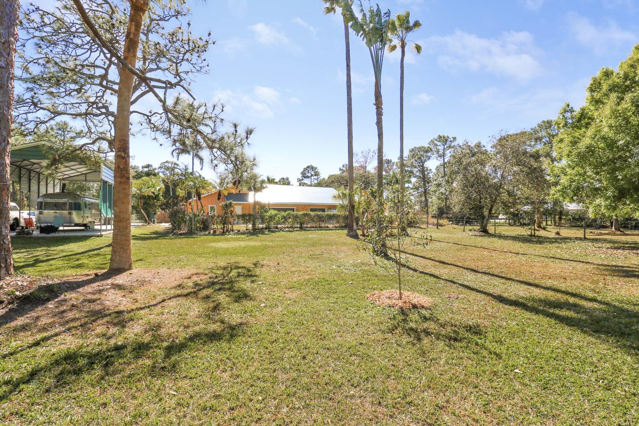 Hidden gem—bring your horse home today - photo 14