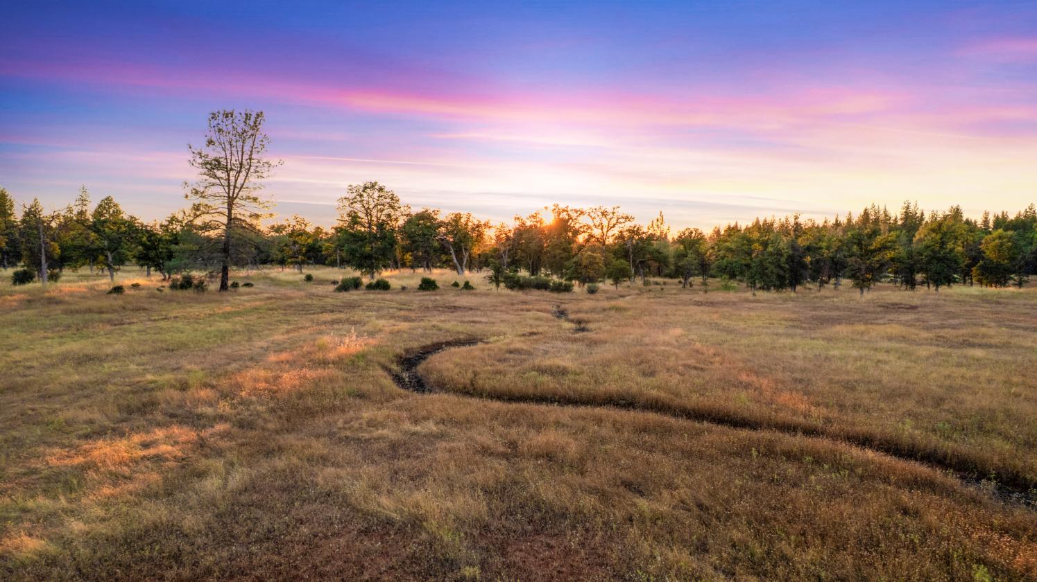 58 Acre Luxury Ranch - Barn, Arena, Pool, 9 parcels - photo 11