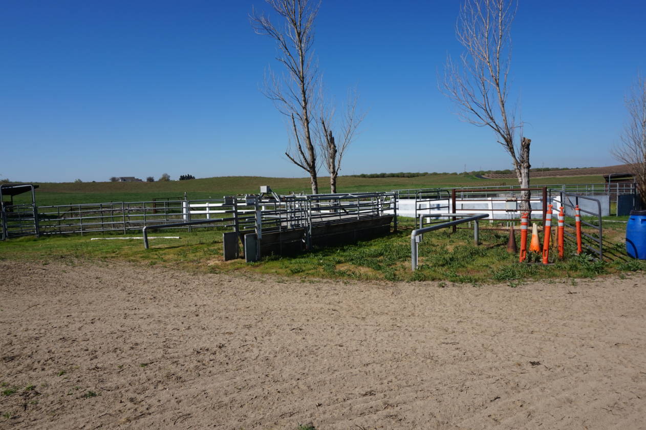 Oakdale California Equestrian Estate Oakdale, Stanislaus County