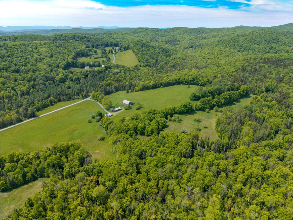 Equestrian Paradise in Picturesque Strafford - photo 19