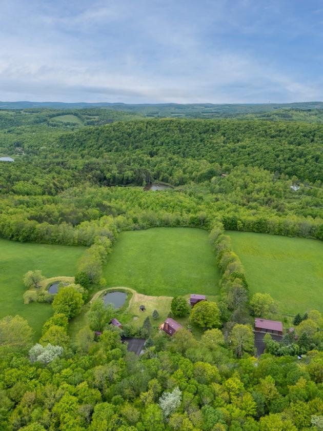 9 Beautiful Acres,  Home, Barn, Garages, etc - photo 2