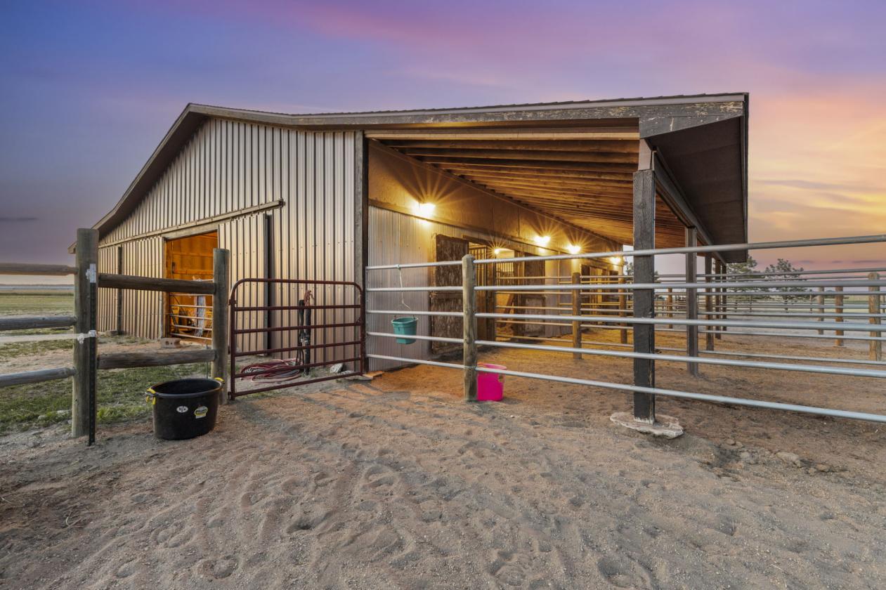 The Hacienda - A Family Horse Centric DREAM - photo 4
