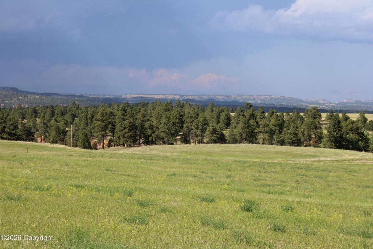 WY Horse Property with Views and NO Covenants! - photo 5