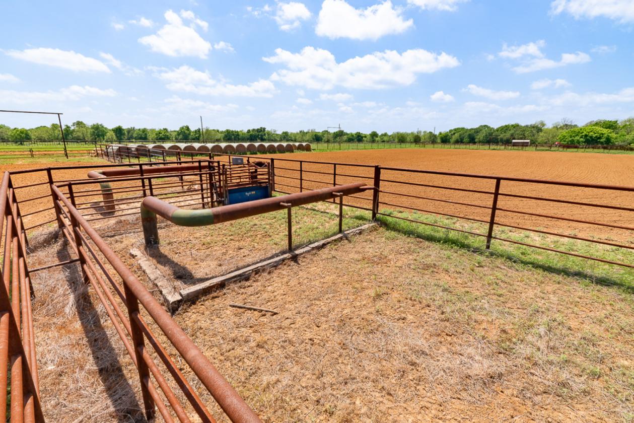Scenic 64 Acre Horse & Cattle Property - photo 26
