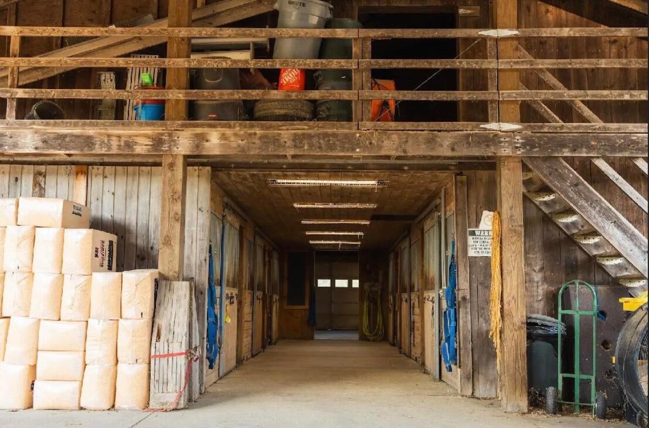 Central Maine Equestrian Homestead - photo 24