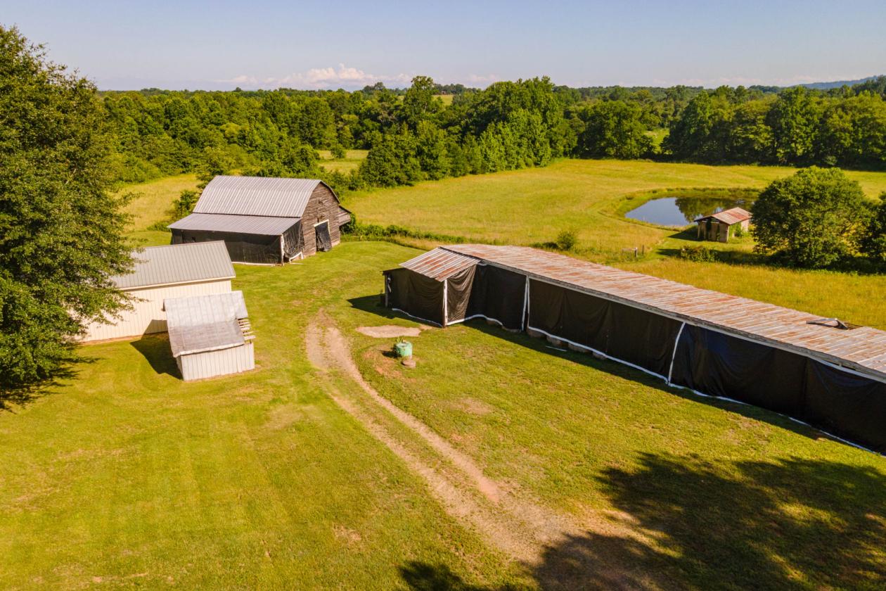 SCENIC BEAUTIFUL FARM - photo 10
