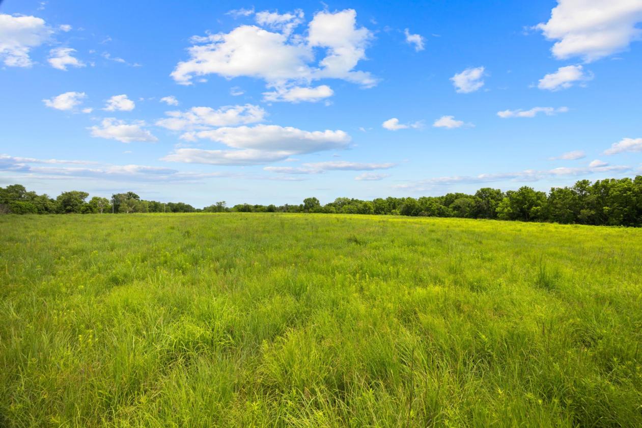 Your Own Private Paradise on 66 Acres - photo 26