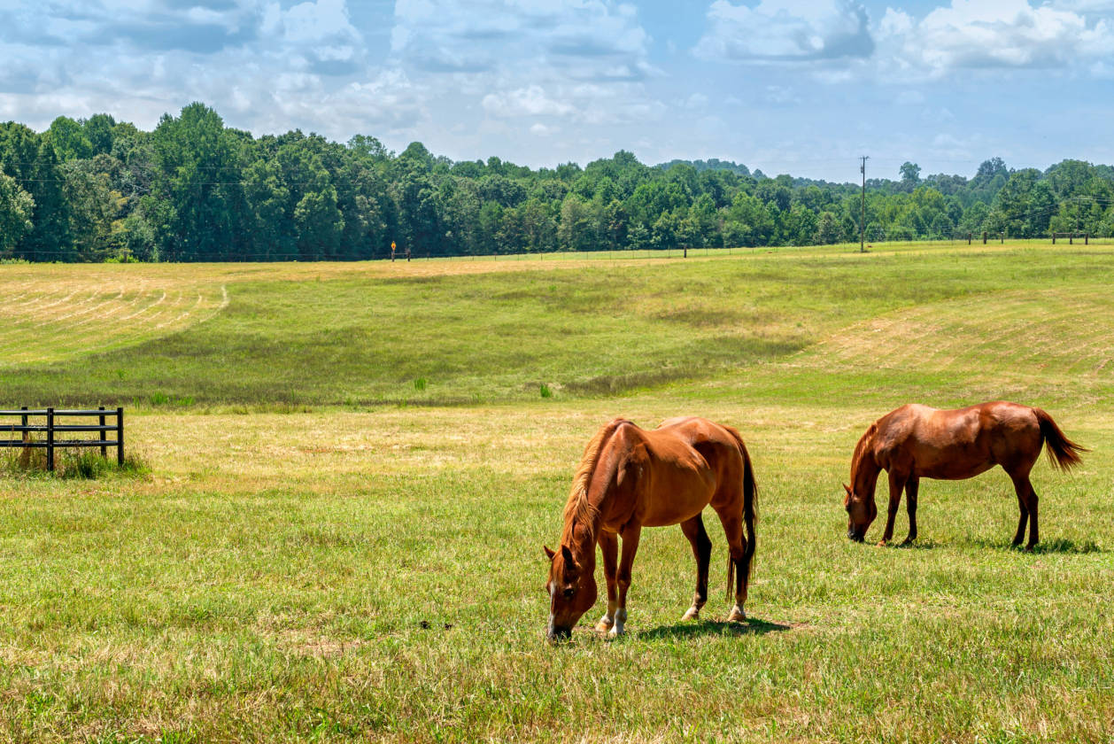 Equestrian estate on 10+ acres Social Circle, Walton County,