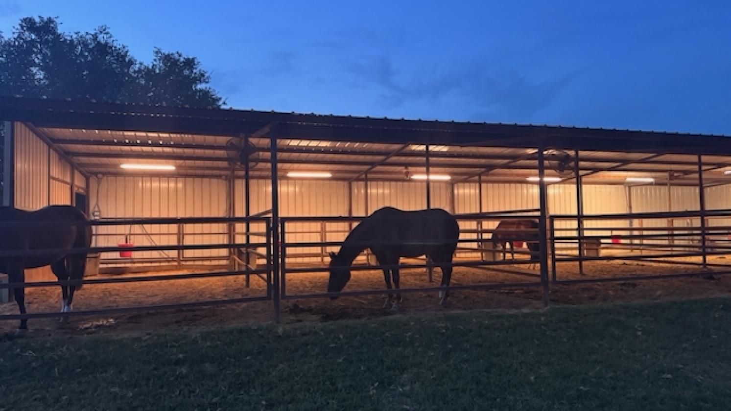 Turnkey 9.58 Acre Equine Facility - 2 Homes - photo 13