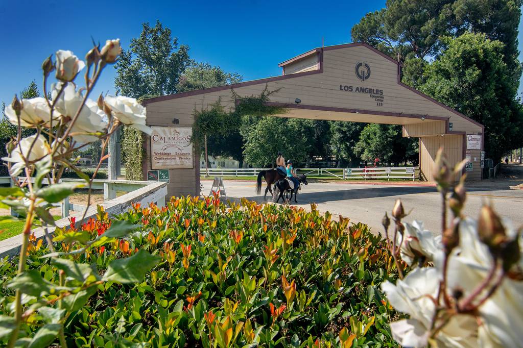 Horse Property for sale.